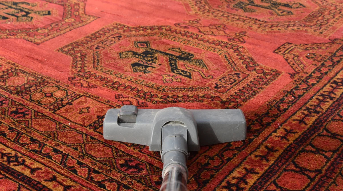 How to clean your Moroccan Rugs and Floor Cushions – Cush & Co