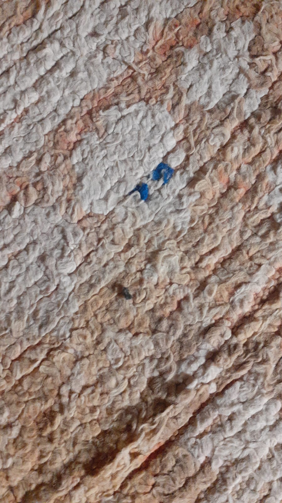 Vintage Moroccan Rug - Sun Seeker